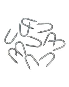 Galvanized Staples