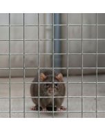 Rat & Mouse Mesh 6mm x 6mm Stainless Steel, 90cm x 6m roll