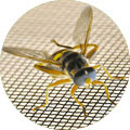 Fly Screen & Insect Mesh